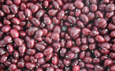 Frutas y verduras de temporada