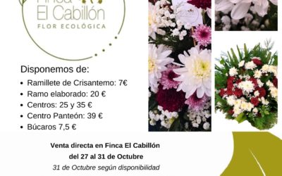 Reservando centros y ramos para Todos Los Santos