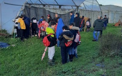 VISITA DEL CEIP SAN MIGUEL, DE TREVÍAS