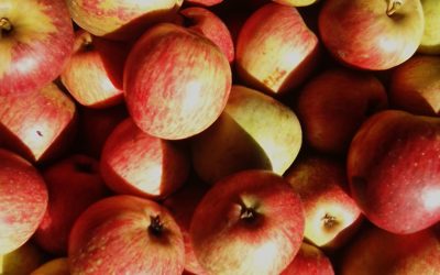 Listado frutas y verduras