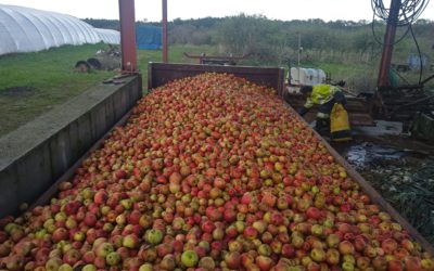 LISTADO FRUTAS Y VERDURAS