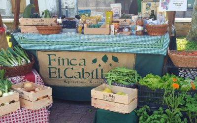 Estudio de percepción social acerca del sistema de producción y consumo local de alimentos