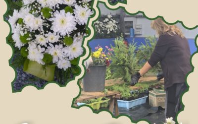 Disponibilidad Finca