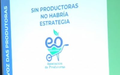 DISPONIBILIDAD FINCA