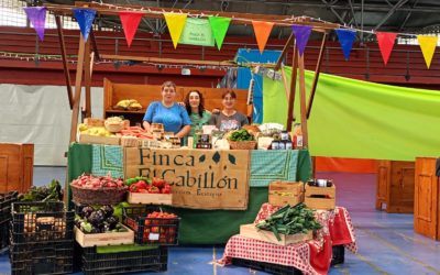 Disponibilidad frutas y verduras