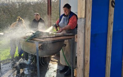 Disponibilidad Finca