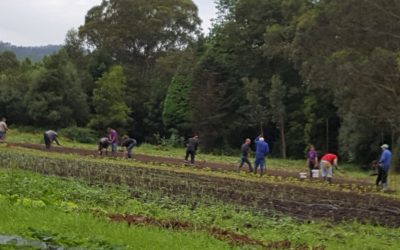 La Finca El Cabillón, ejemplo de integración, defiende su producción «ecológica y segura»