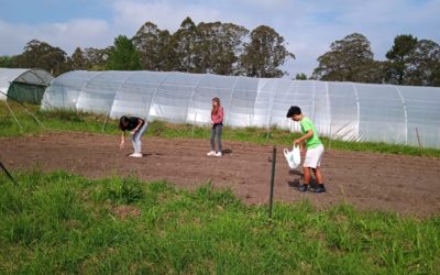 Visita a la finca del alumnado del IES De Tapia