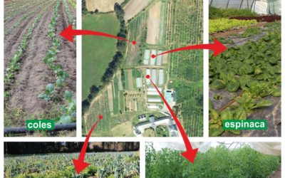 Investigación Participativa: Por una agricultura social y medioambientalmente sostenible y económicamente sustentable